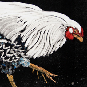 Chickens From The Dark Side